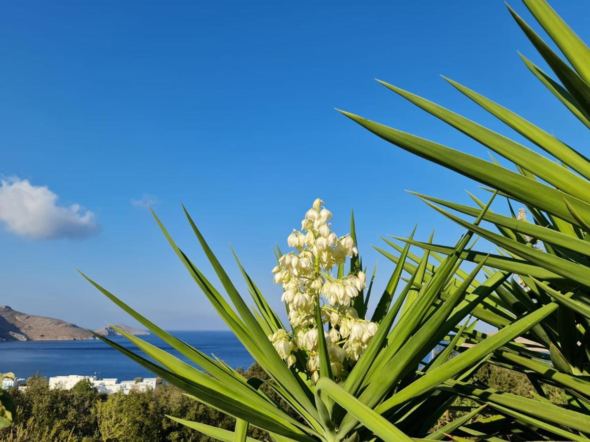Tilos Villa Livadia  Exteriér fotografie